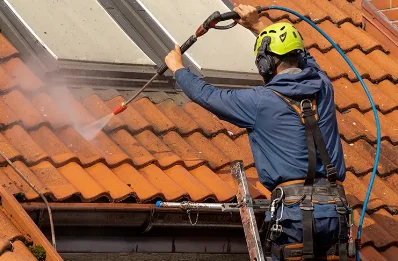 Démoussage et hydrofuge de toiture à Dampniat